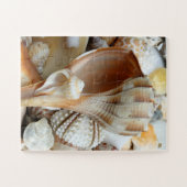 Floride Lightning Whelk Enfants Seashells Puzzle (Horizontal)