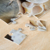 Floride Lightning Whelk Seashells Puzzle (Côté)