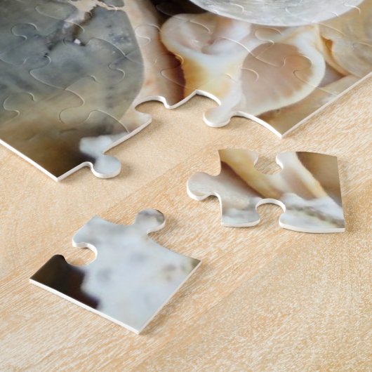 Floride Lightning Whelk Seashells Puzzle (Côté)