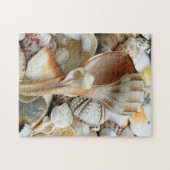 Floride Lightning Whelk Seashells Puzzle (Horizontal)