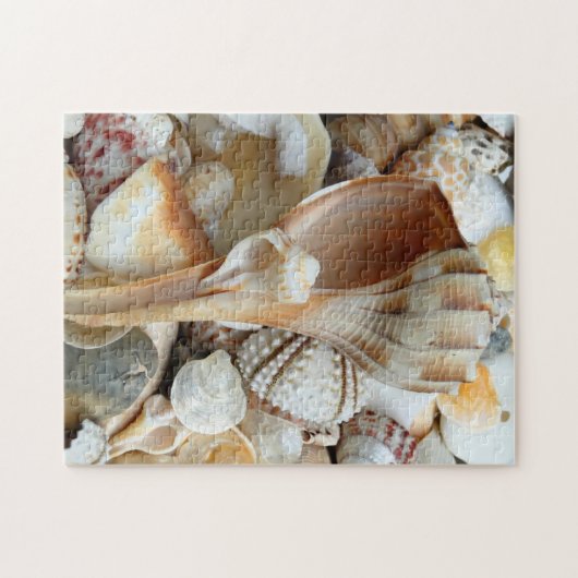 Floride Lightning Whelk Seashells Puzzle (Horizontal)