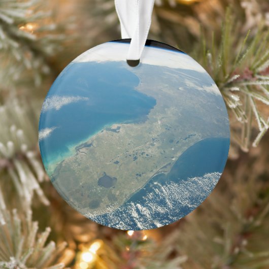 Floride Oblique, Sur La Côte Sud-Est (Arbre)