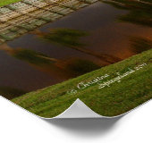 Floride palmier lac réflexion Poster (Coin)