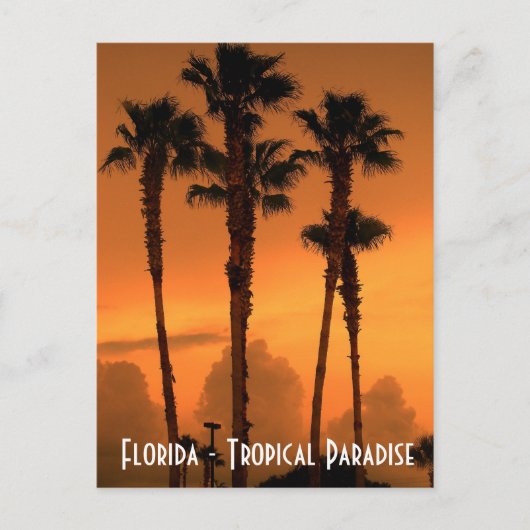 Floride Tropical Paradise Sunset Carte postale Pho (Devant)
