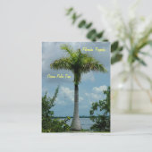 Floride tropique Océan palmier Carte postale (Debout devant)