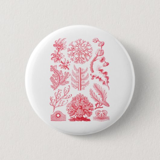 Florideae Ronde Button 5,7 Cm (Voorkant)