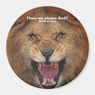 Floss me s'il vous plaît Andi ! aimant