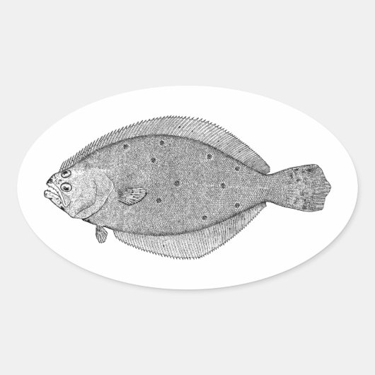 Flounder - Fluke  Illustratie Ovale Sticker (Voorkant)