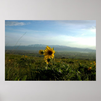 Flower and Wellsville mountaingebuur Poster