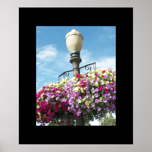 Flower Baskets Poster (Voorkant)