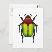 Flower beetle briefkaart (Voorkant / Achterkant)