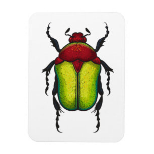 Flower beetle magneet