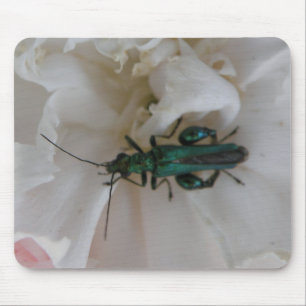 Flower Beetle Mousepad Muismat