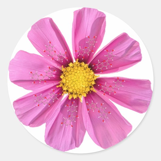 Flower Chemistry Sticker (Voorkant)