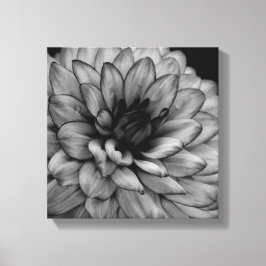 Flower Dahlia Canvas Afdruk