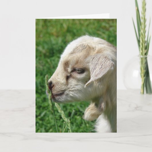 Flower de geitenkid Pasen Kaart (Voorkant)