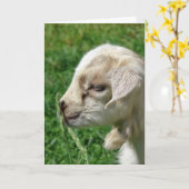 Flower de geitenkid Pasen Kaart (Gele Bloem)