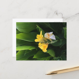 Flower Delivery Briefkaart