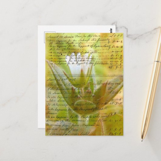 Flower en script briefkaart (Voorkant / Achterkant in situ)