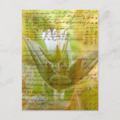 Flower en script briefkaart (Voorkant)