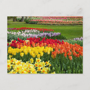 Flower Garden Briefkaart