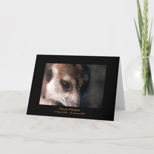 Flower - Legends Kaart (Voorkant)