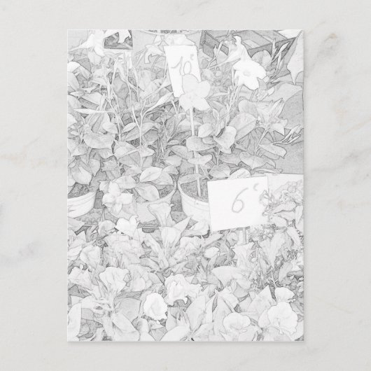 Flower Market Coloring Briefkaart (Voorkant)