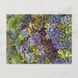 Flower Power - 1 Briefkaart