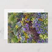 Flower Power - 1 Briefkaart (Voorkant / Achterkant)