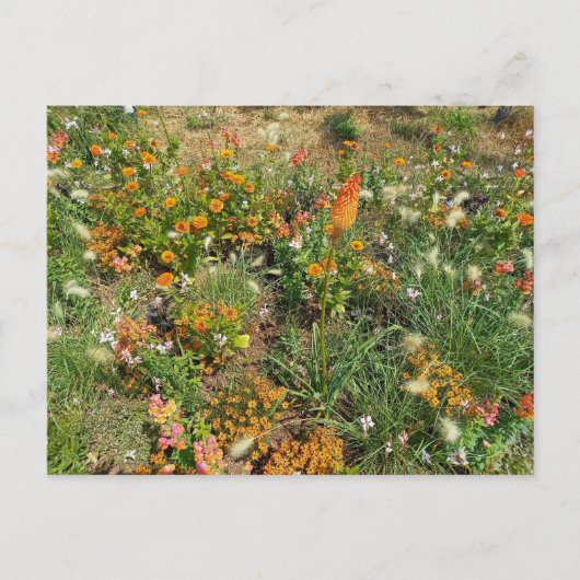 Flower Power - 2 Briefkaart (Voorkant)