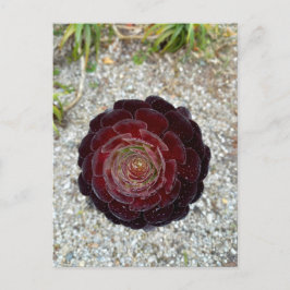 Flower Power - 7 Briefkaart