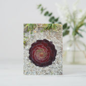 Flower Power - 7 Briefkaart (Staand voorkant)