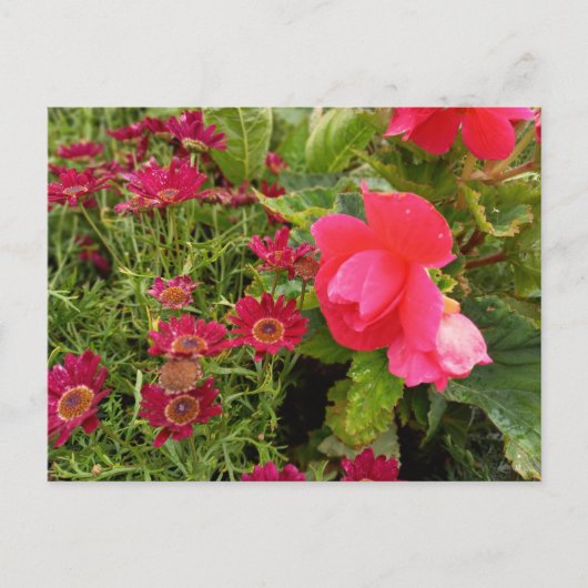 Flower Power - 9 Briefkaart (Voorkant)