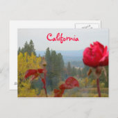 Flowered California Briefkaart (Voorkant / Achterkant)