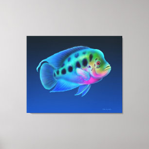 Flowerhorn Cichlid Fish Wrapped Canvas Afdruk