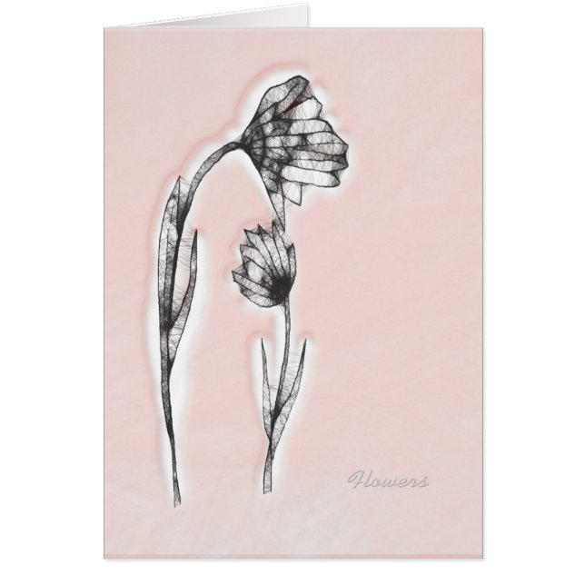 Flowers (Devant)