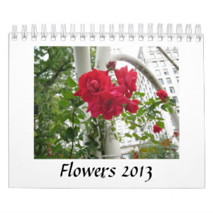 Flowers 2013 Agenda Kalender