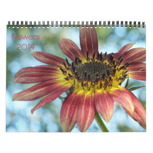 Flowers 2014 Calender Kalender (Hoes)