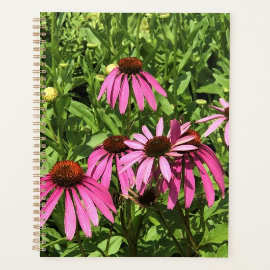 Flowers at Château Morrisette Winery, Floyd, VA (Devant)