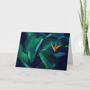 Flowers   Bird of Paradise Kaart