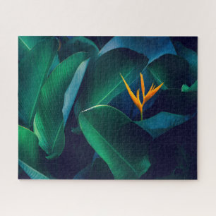 Flowers Bird of Paradise Legpuzzel