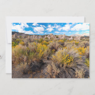 Flowers Blooming Sagebrush California Bedankkaart