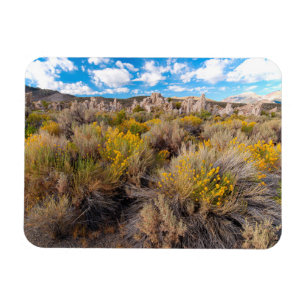 Flowers Blooming Sagebrush California Magneet