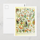  Flowers Botanische Illustratie Briefkaart (Voorkant / Achterkant)