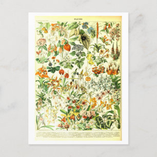  Flowers Botanische Illustratie Briefkaart