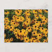 Flowers Briefkaart (Voorkant)