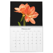 Flowers Calendar Kalender (Feb 2027)