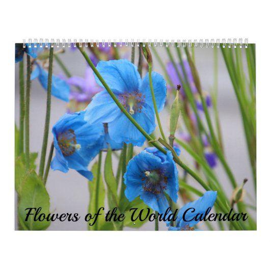 Flowers Calendar Kalender (Hoes)