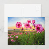 Flowers |Chiang Rai Province, Thailand Briefkaart (Voorkant / Achterkant)