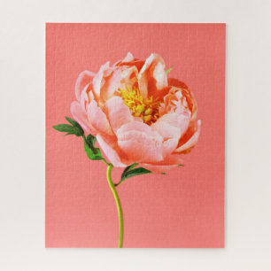 Flowers Coral Peony Blossom Legpuzzel
